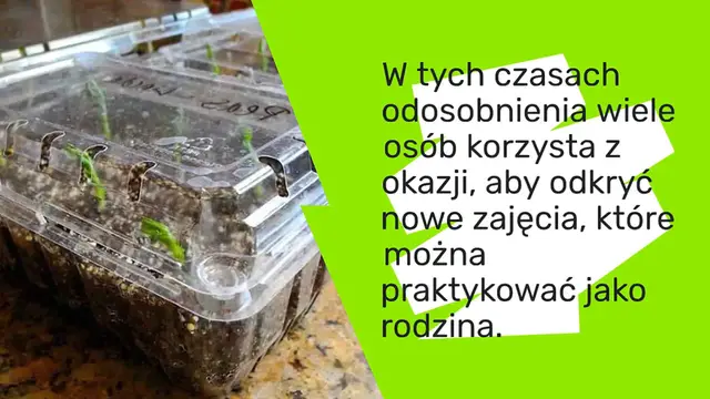 Video thumbnail for Oto jak zamienić plastikowe pudełka w mini szklarnie do uprawy roślin