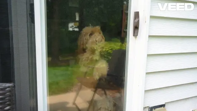 Video thumbnail for Unlock Freedom_ The Magic of Dog Doors!