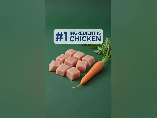 Video thumbnail for Dog food For best nutrition