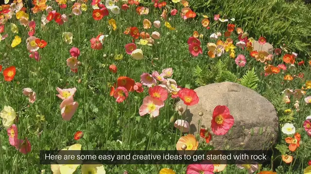 Video thumbnail for DIY Rock Garden Landscaping Ideas