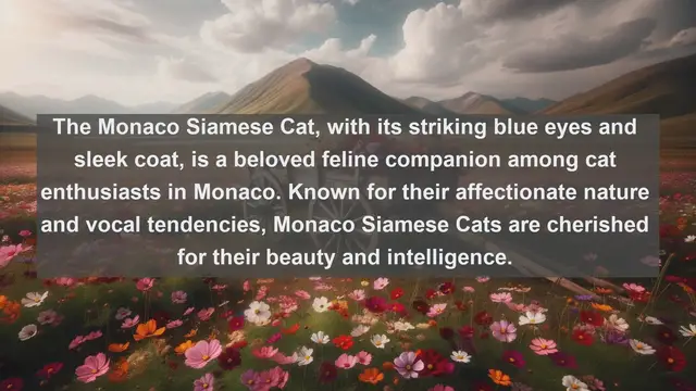 Video thumbnail for Revealing Monaco's Most Cherished Companions: Top 10 Favorite Pets Uncovered