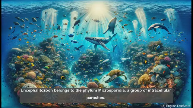 Video thumbnail for Encephalitozoon in biology - meaning, definition and examples