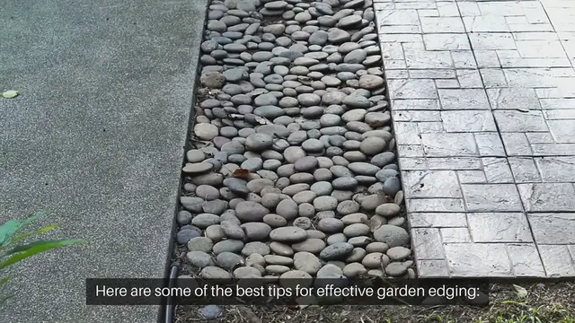 Video thumbnail for Best Tips For Garden Edging