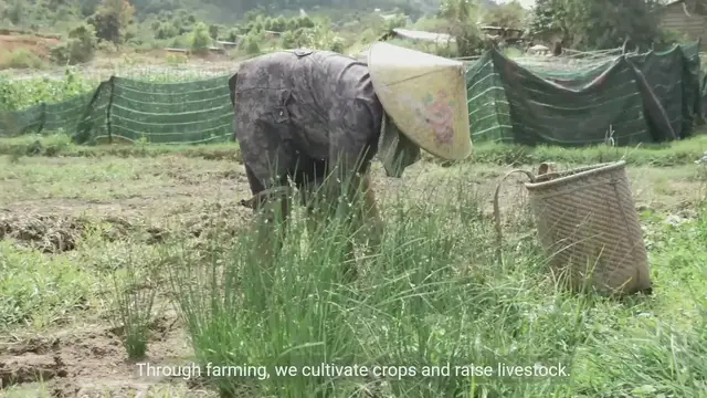 Video thumbnail for Importance of Farming - Sustainable Food Produce