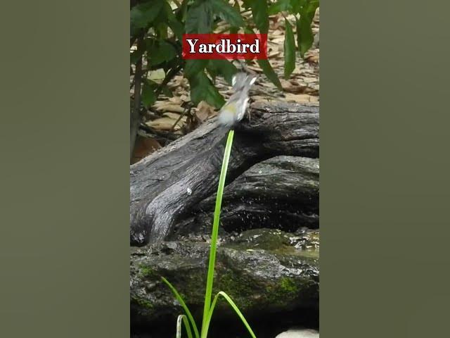 Video thumbnail for Enchanting