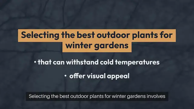 Video thumbnail for Best Outdoor Plants for Winter Gardens
