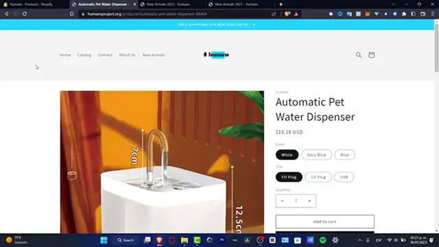 Video thumbnail for How to Add FREE Shipping on Shopify 2024 (Step by Step)