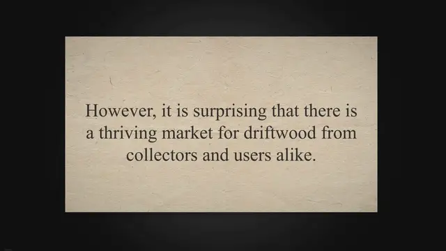 'Video thumbnail for Can You Collect And Sell Driftwood'