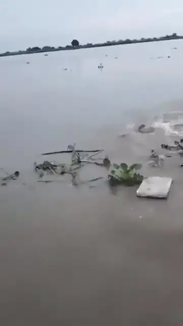 Video thumbnail for The Deadly Risks of Crossing the Limpopo River: Nile Crocodiles and Human Encounters