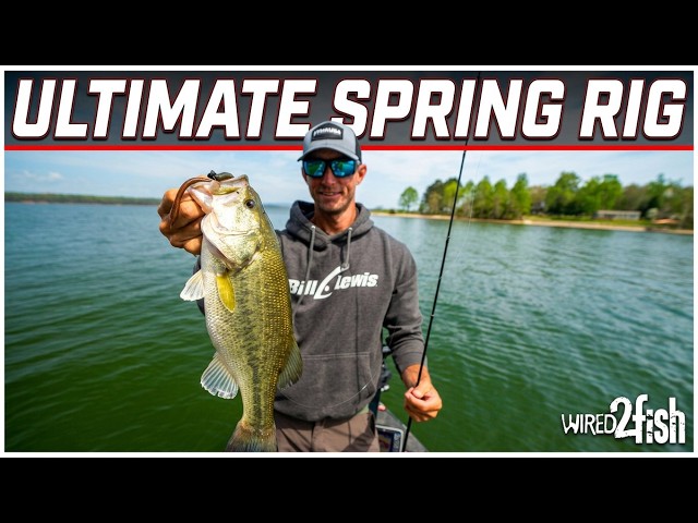 Video thumbnail for The Spring Bass Bite Is EASY with This Shakey Head Setup