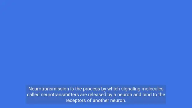 Video thumbnail for Unraveling the Mysteries of Neurotransmission