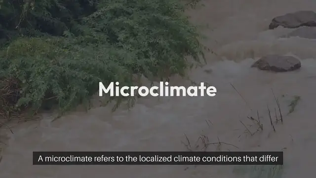 Video thumbnail for Microclimate Effects On Gardening