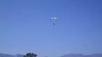 Video thumbnail for 2017 USAFA Wings of Blue Skydiving, Colorado Springs, Labor Day Balloon Festival.