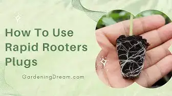 Video thumbnail for How To Use Rapid Rooters Plugs