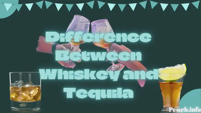 Video thumbnail for Difference Between Whiskey and Tequila