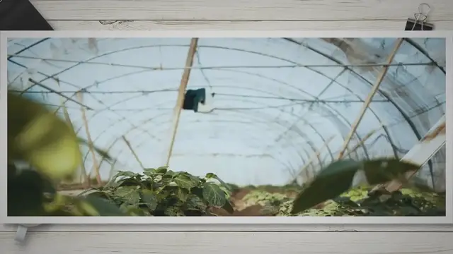 Video thumbnail for Folientunnel – die wichtigsten Punkte bevor du einen kaufst