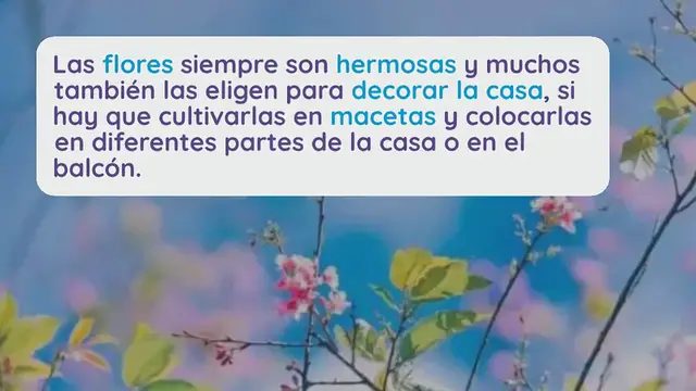 Video thumbnail for Aquí está el ranking de las plantas con las flores de colores más bonitas: vuelven locos a todos