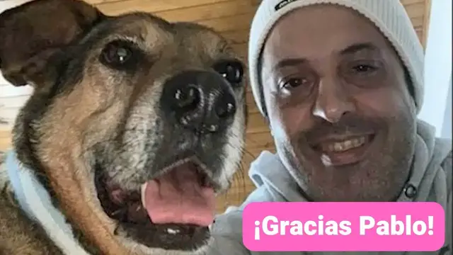 Video thumbnail for Perro dura años vagando por la playa buscando cariño ¡Mira su historia!