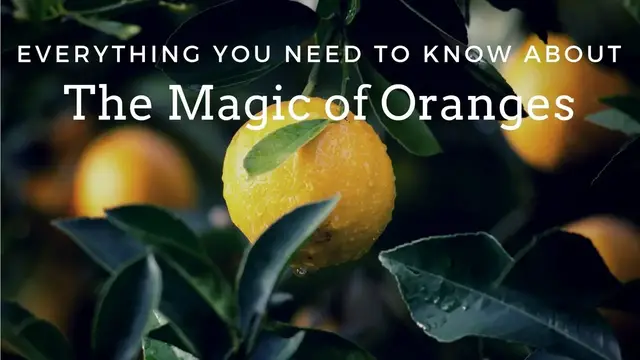 'Video thumbnail for The Happiness Fruit: The Magic of Oranges -- Magical Herbs'