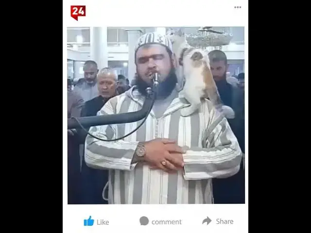 'Video thumbnail for قطة تتسلل إلى مسجد جزائري وتعتلي كتف الإمام أثناء الصلاة'