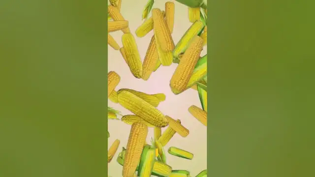 Video thumbnail for 5 Best Corn Peeler Reviews on Amazon! Special For You!