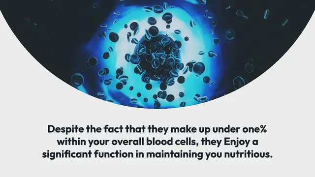 Video thumbnail for Bucks vs wizards Things To Know Before You Buy