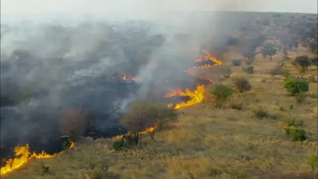 Video thumbnail for 11 Main Effects of Climate Change