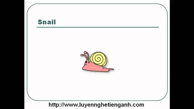 Video thumbnail for Learn English Vocabulary Through Pictures - Topic - Lawn and Yard Lesson 01