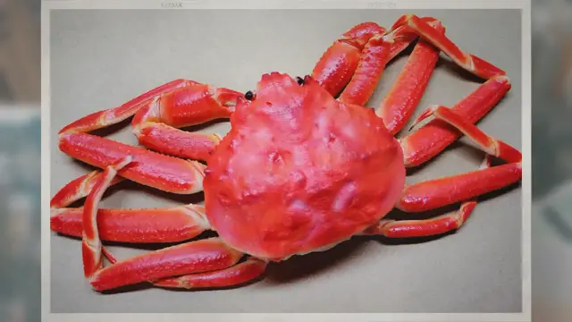 Video thumbnail for Alaska Snow Crab Season Canceled