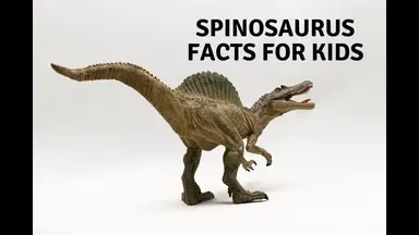 'Video thumbnail for Spinosaurus Facts for Kids'