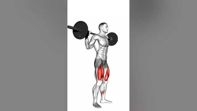 Video thumbnail for How To Perform Barbell Squat Correctly | Barbell Squats Form & Technique