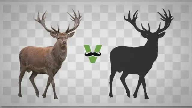 Video thumbnail for Online Silhouette Maker