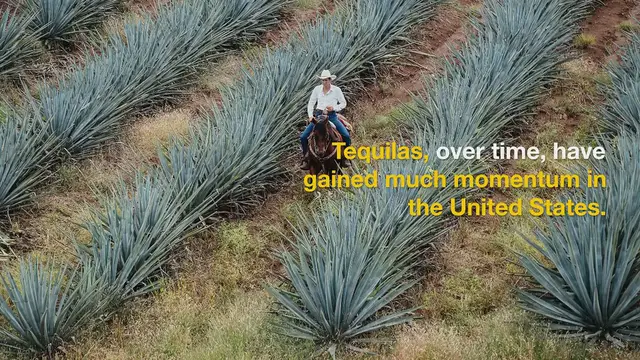 'Video thumbnail for 7 Best Tequilas To Try'
