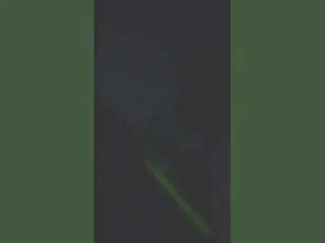'Video thumbnail for March 16, 2025'