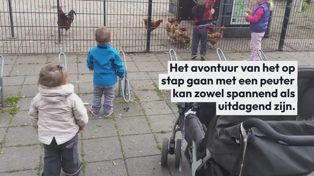 Video thumbnail for Veilig op stap met een peuter – een lekker stukje wandelen