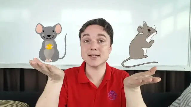 Video thumbnail for As ... as & Not as ... as grammar examples and comparison