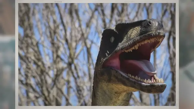Video thumbnail for How Smart Were Velociraptors?