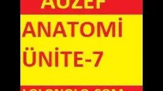 Video thumbnail for Auzef Anatomi Ünite 7 Online Test