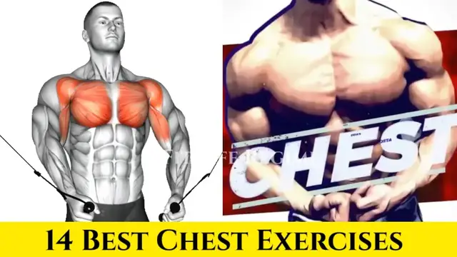 Video thumbnail for 14 Best Chest Exercises and Workouts You Need to Build Bigger Pecs