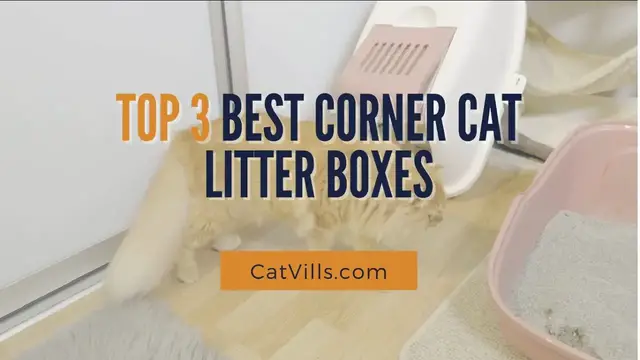 Video thumbnail for TOP 3 BEST CORNER CAT LITTER BOXES
