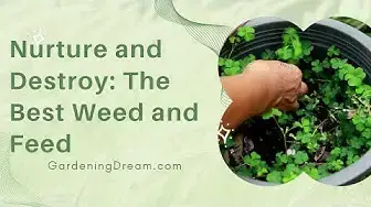 Video thumbnail for Nurture and Destroy: The Best Weed and Feed