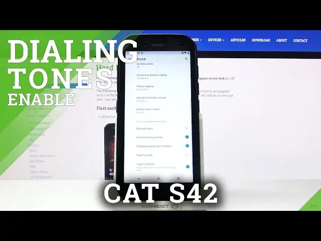 Video thumbnail for How to Enable Dial Pad Tones in CAT S42 – Turn On Dial Pad Tones