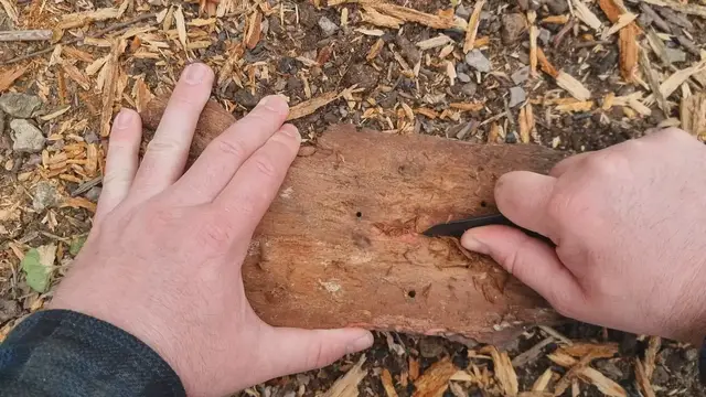 Video thumbnail for Bushcraft Scraping Pine Tree Bark to Make Natural Fire Tinder Pile