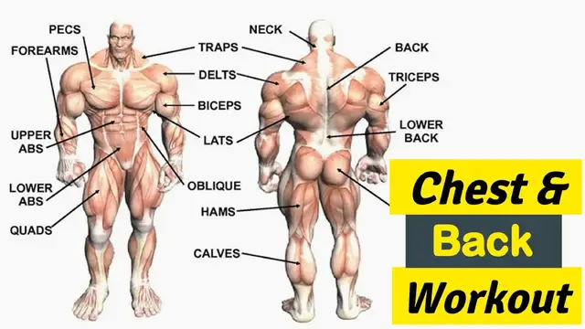 Video thumbnail for The Most Effective Chest & Back Workout (Antagonist Workouts)