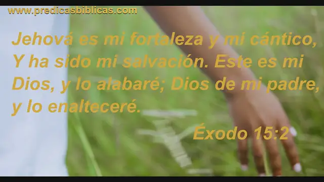 Video thumbnail for 🙏 Mensajes cristianos de buenos días 🙏