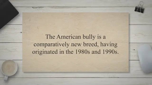 Video thumbnail for What Pitbull has the Biggest Head?