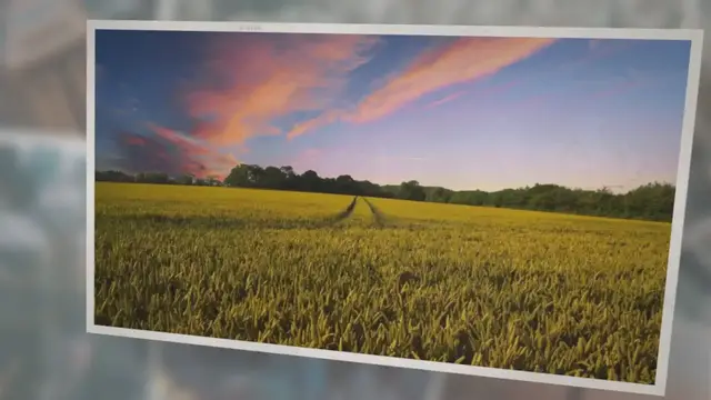 Video thumbnail for IELTS Speaking Part 1: Farming