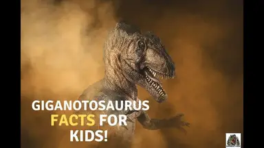 'Video thumbnail for Giganotosaurus Facts For Kids'