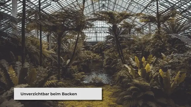 Video thumbnail for Vanille im Gewächshaus pflanzen