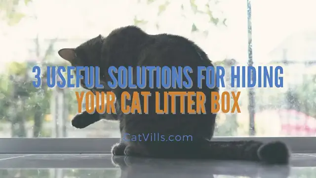 Video thumbnail for 3 USEFUL SOLUTIONS FOR HIDING YOUR CAT LITTER BOX